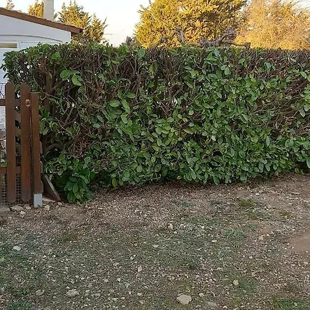 아파트 Studio Et Son Jardin Privatif *